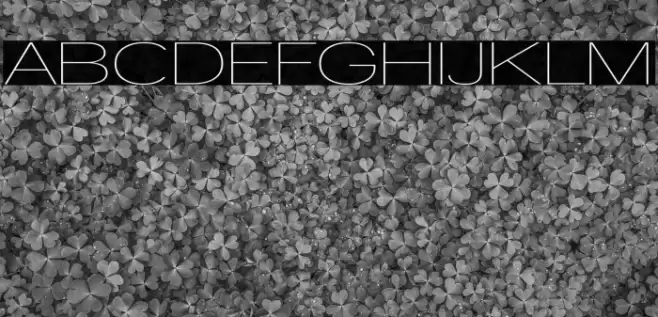 Walkway Expand Font examples