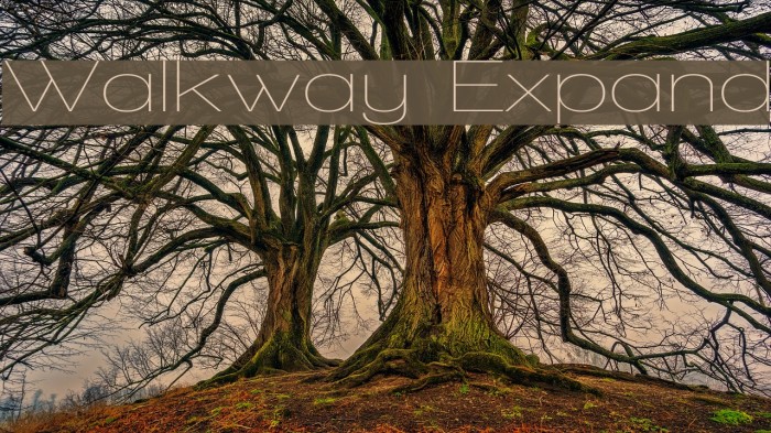 Walkway Expand Font examples