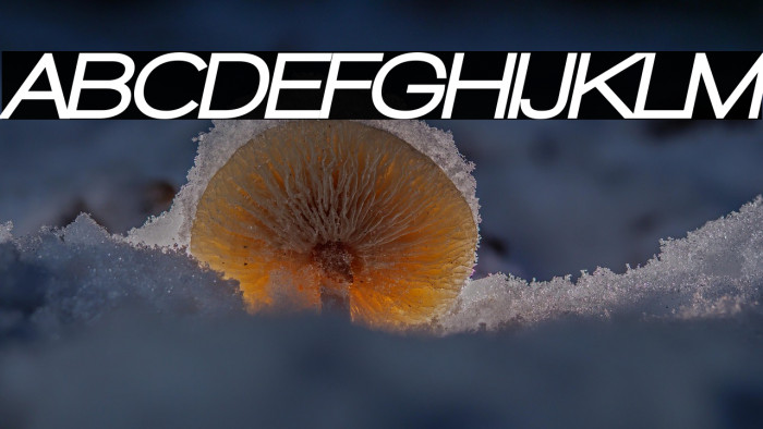 Walkway Oblique Black Example 2