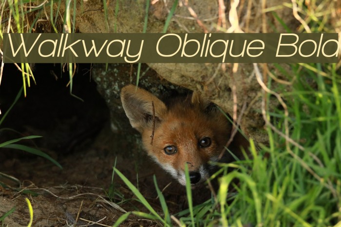 Walkway Oblique Bold Font examples