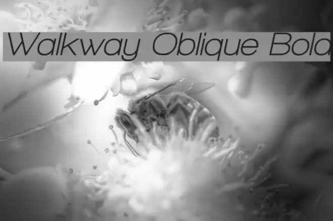 Walkway Oblique Bold Font examples