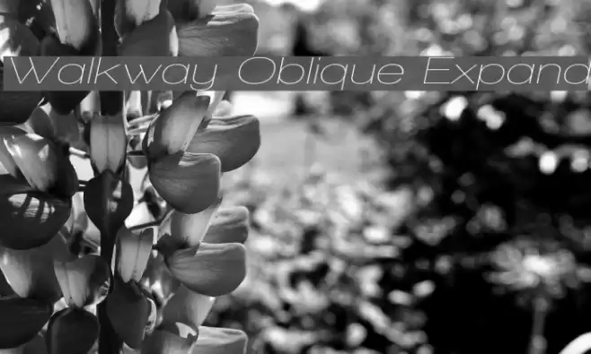 Walkway Oblique Expand examples