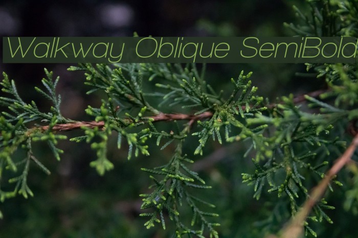 Walkway Oblique SemiBold Font examples