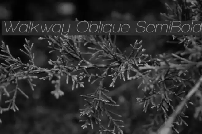 Walkway Oblique SemiBold Schriftart examples