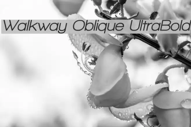 Walkway Oblique UltraBold Font examples