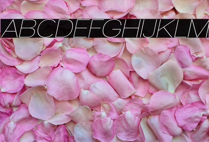 Walkway Oblique Example 2