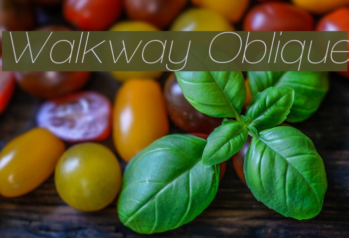 Walkway Oblique Font examples