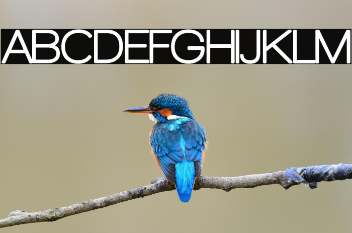 Walkway Rounded Example 1