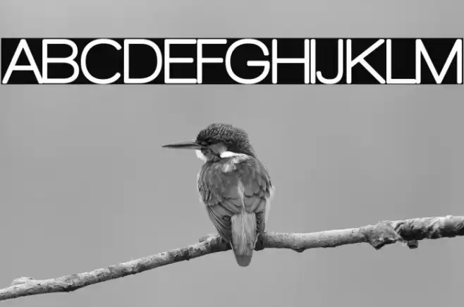 Walkway Rounded Font examples