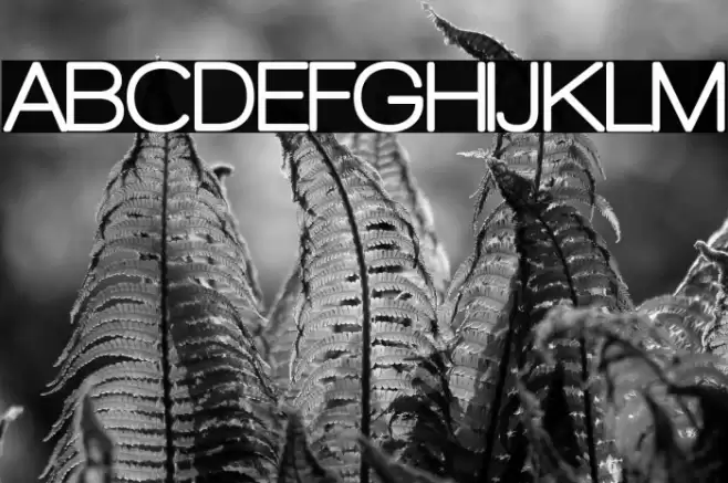 Walkway Rounded Font examples