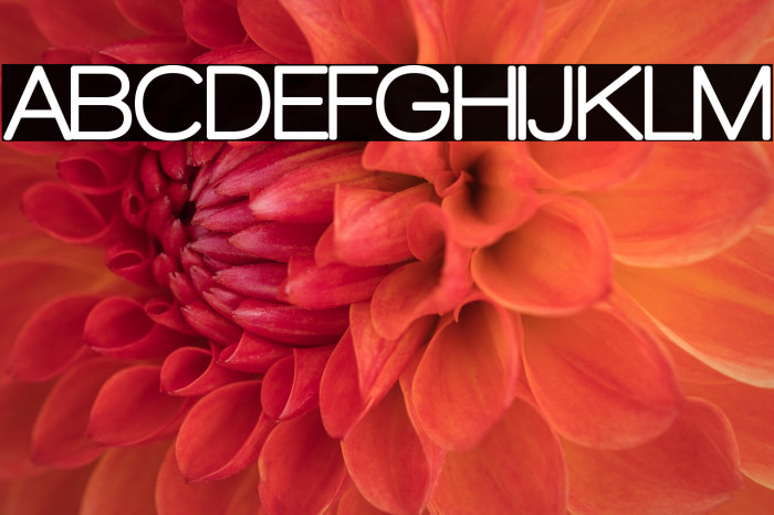 Walkway Rounded Example 3