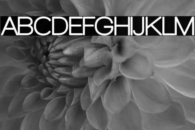 Walkway Rounded Font examples