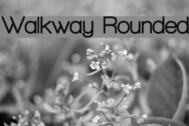 Walkway Rounded Font examples