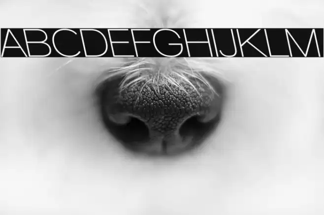 Walkway SemiBold RevOblique Font examples