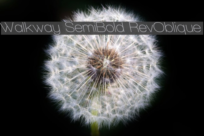 Walkway SemiBold RevOblique Font examples