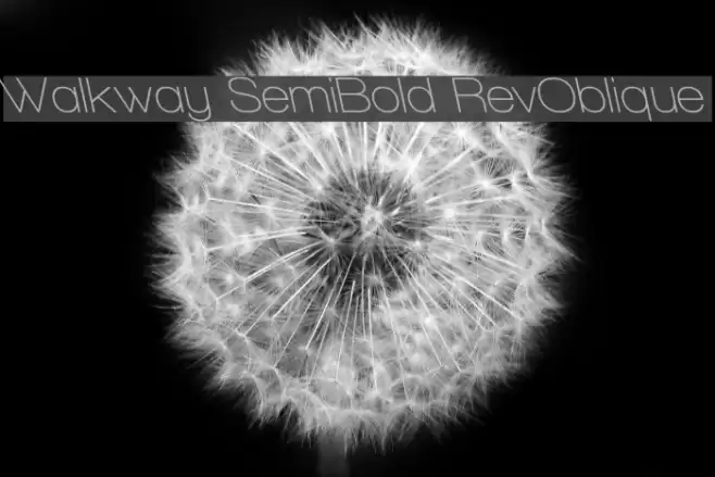 Walkway SemiBold RevOblique Polices examples