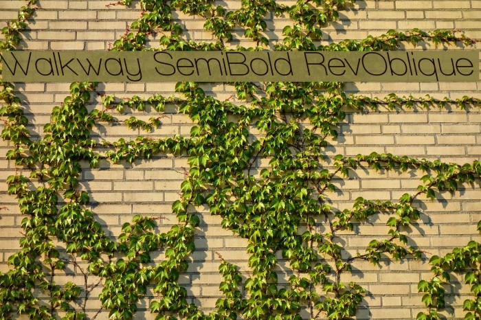 Walkway SemiBold RevOblique Font examples