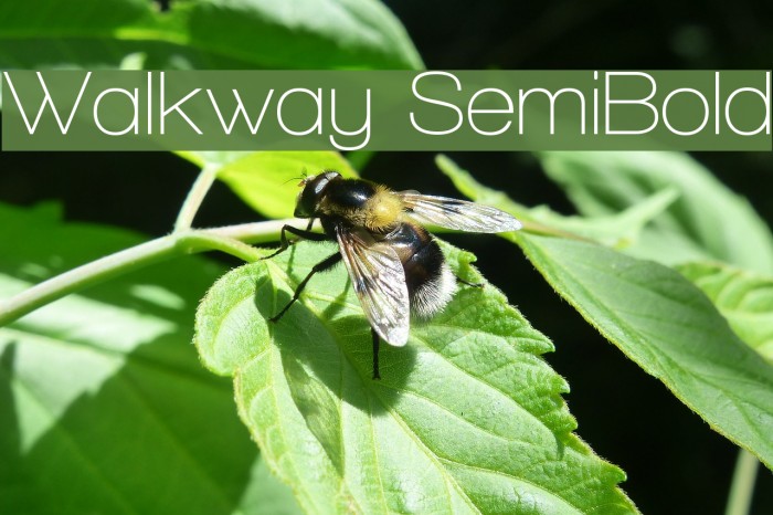Walkway SemiBold Font examples