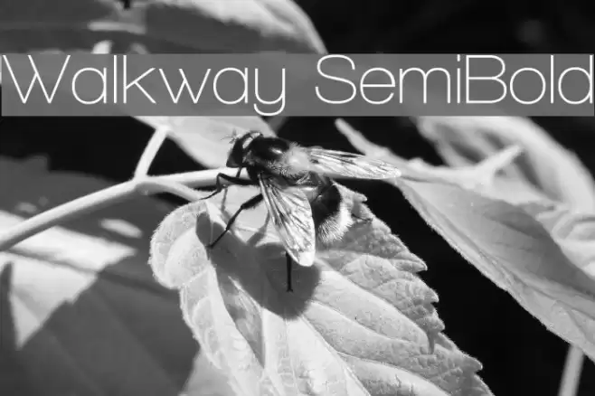 Walkway SemiBold Font examples