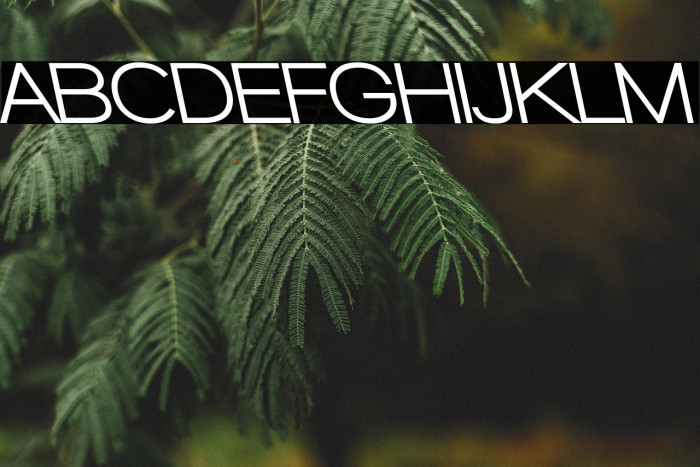 Walkway UltraBold RevOblique Example 1