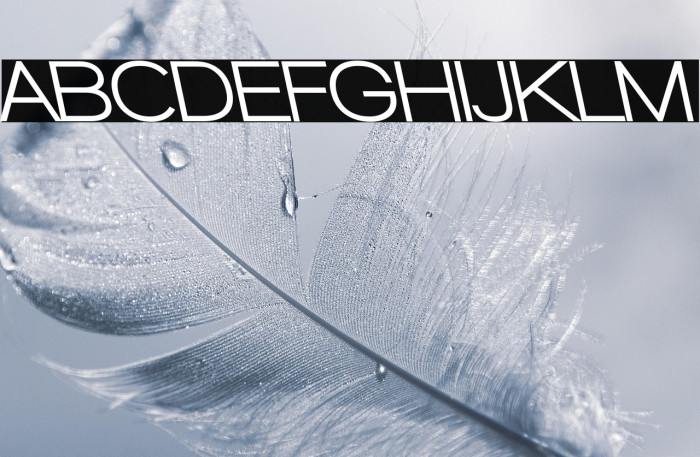 Walkway UltraBold RevOblique Example 2