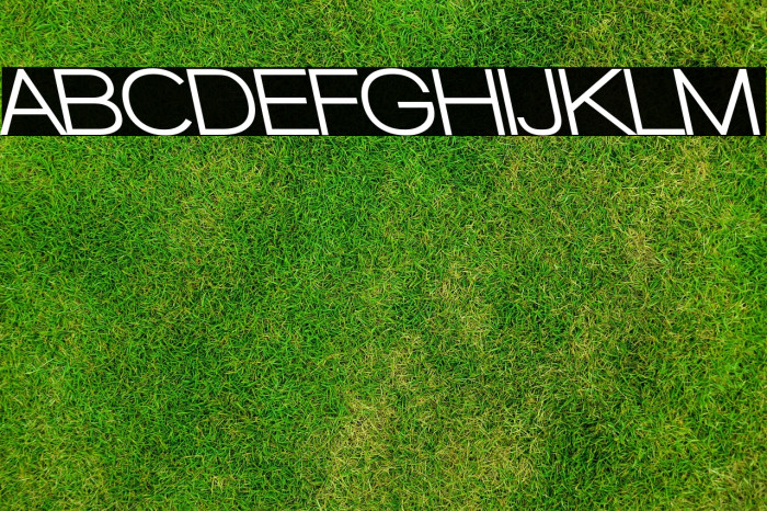 Walkway UltraBold RevOblique Example 3