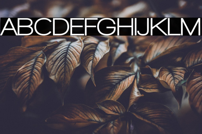 Walkway UltraBold Example 1