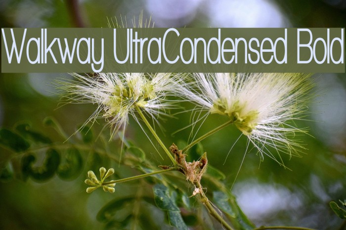 Walkway UltraCondensed Bold Font examples