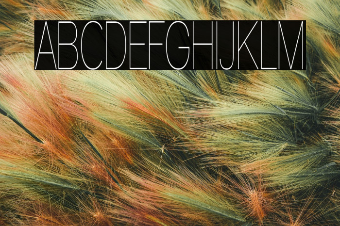 Walkway UltraCondensed Example 2