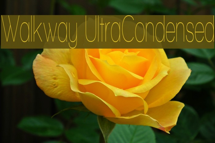 Walkway UltraCondensed Font examples