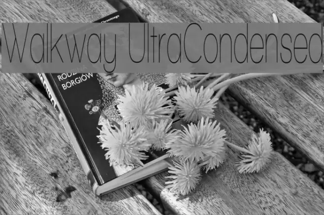 Walkway UltraCondensed Font examples