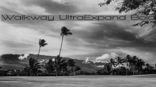 Walkway UltraExpand Bold Font examples