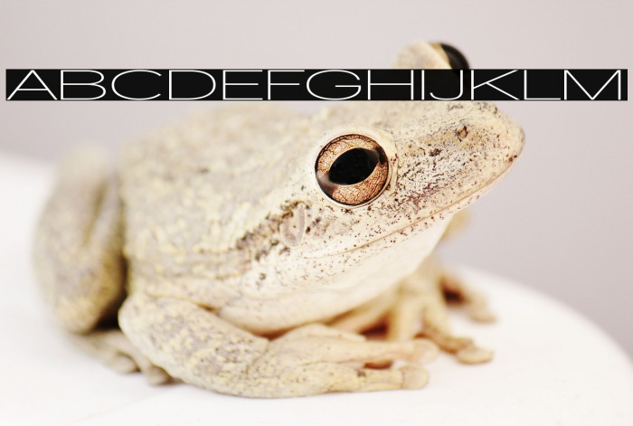 Walkway UltraExpand SemiBold Example 1