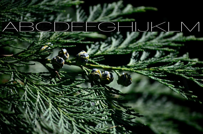 Walkway UltraExpand Example 3