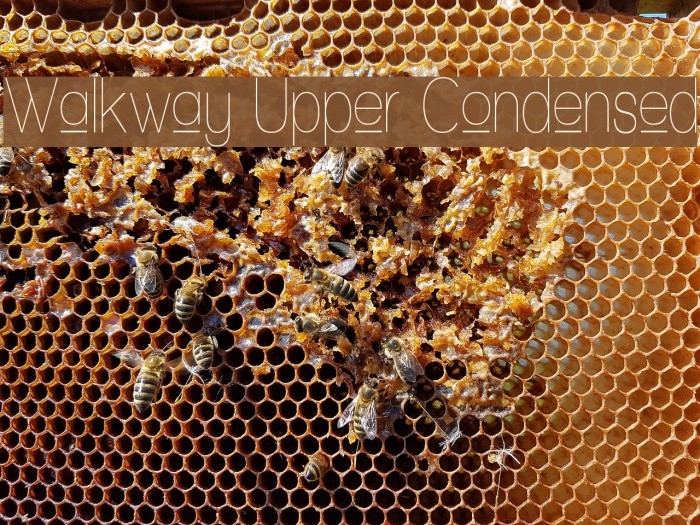 Walkway Upper Condensed Font examples