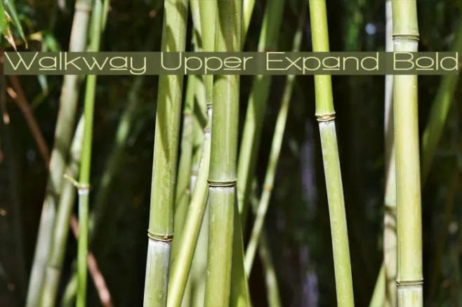 Walkway Upper Expand Bold Example 2