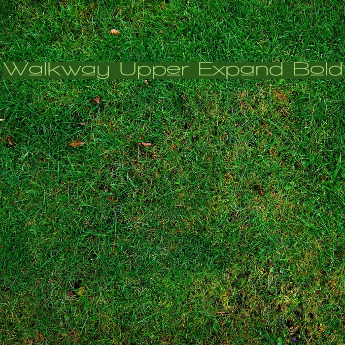 Walkway Upper Expand Bold Font examples