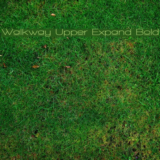 Walkway Upper Expand Bold Example 3
