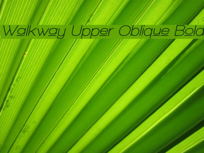 Walkway Upper Oblique Bold Font examples