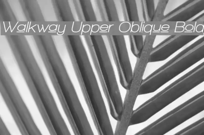 Walkway Upper Oblique Bold  examples