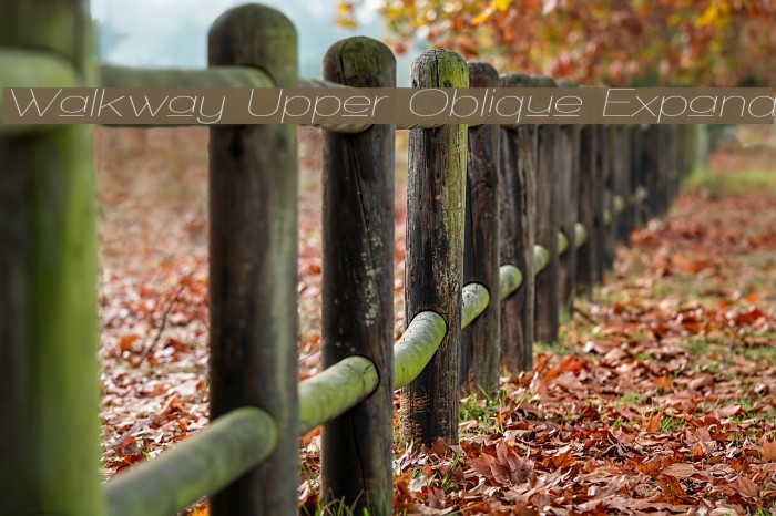 Walkway Upper Oblique Expand Font examples