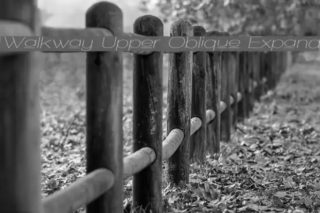Walkway Upper Oblique Expand  examples