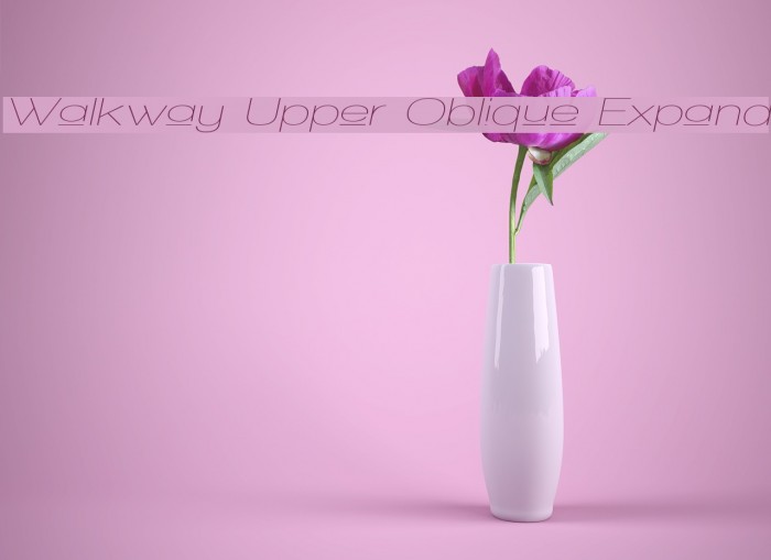 Walkway Upper Oblique Expand Font examples