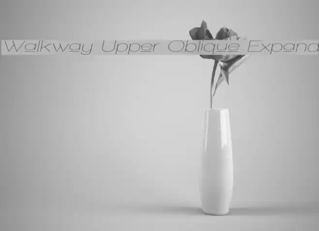 Walkway Upper Oblique Expand  examples