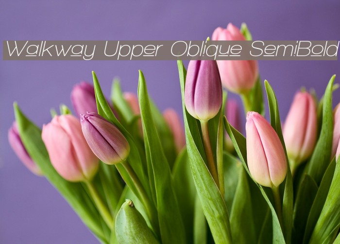 Walkway Upper Oblique SemiBold フォント examples