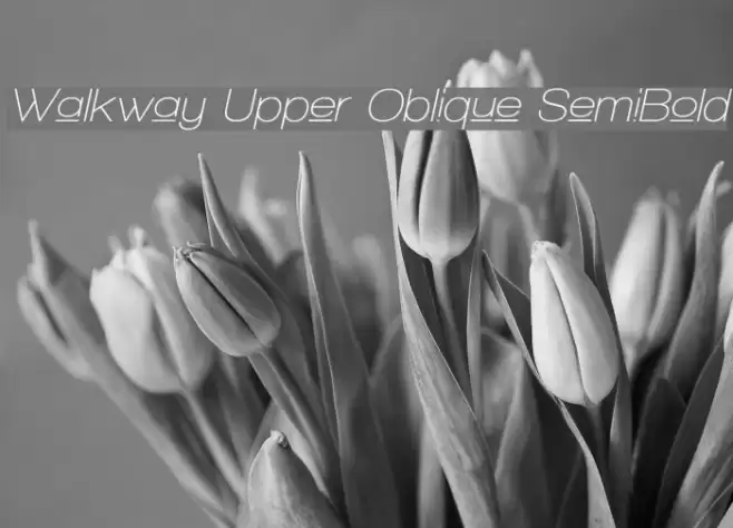 Walkway Upper Oblique SemiBold フォント examples