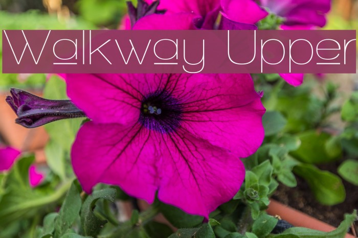 Walkway Upper Font examples