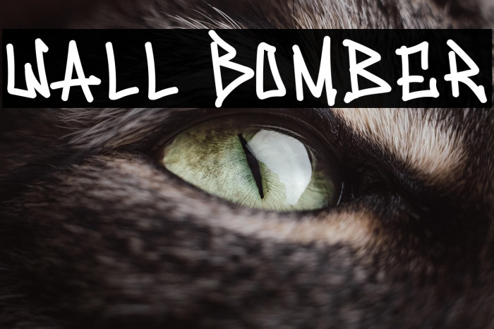 Wall Bomber Example 2