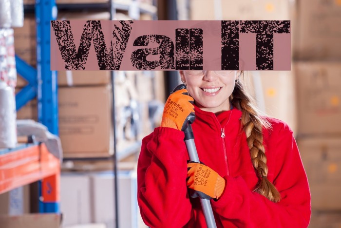 Wall IT Schriftart examples