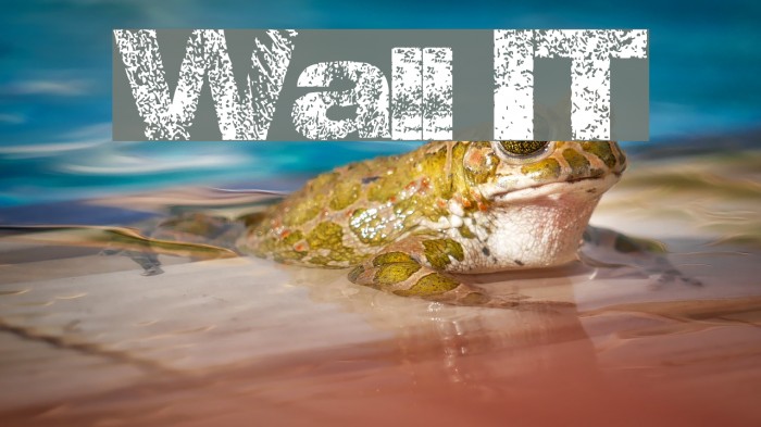 Wall IT Schriftart examples